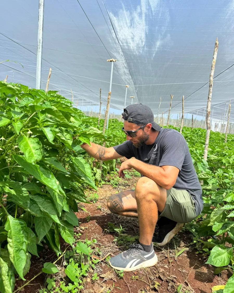 Sammy, on the land